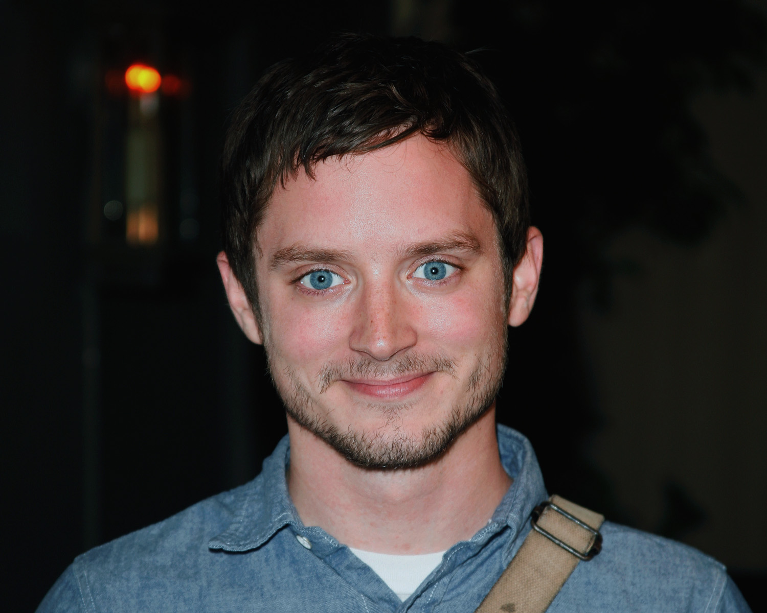 Elijah Wood World Of Warcraft,Building Things With Wood 012,Woodworking Pro...
